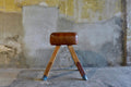Cavallina Vintage Brown – noleggio Rusted Vintage