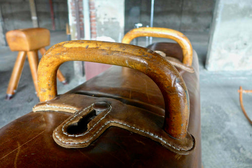 Cavallina Ginnica Vintage – foto 2 – noleggio Rusted Vintage