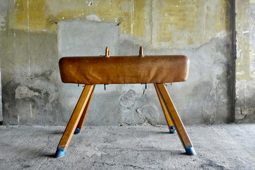 Cavallina Ginnica Vintage – noleggio Rusted Vintage
