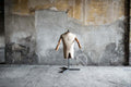 Manichino Mezzo Busto Uomo – noleggio Rusted Vintage